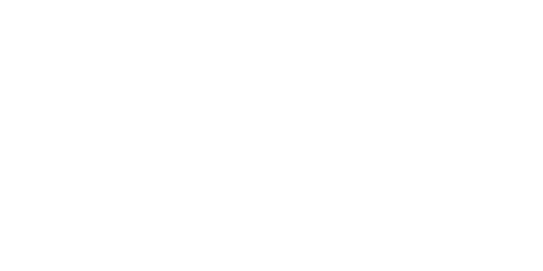 dinoflex dinoflex